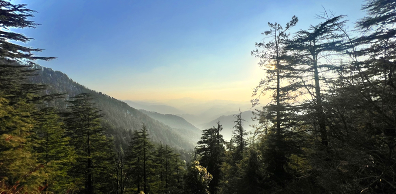 Shimla Manali Tour Shimla Manali Tour